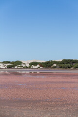 Pink salt lakes at Point Sinclair, South Australia