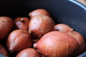 Japanese sweet potatoes, a specialty of Tanegashima island in Kyushu region. It's so sweet like honey.