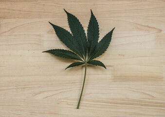 cannabis leaf on wooden background