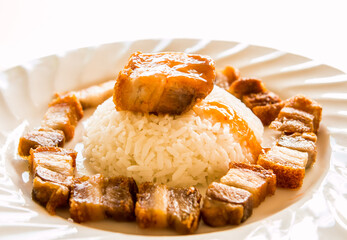 Rice with crispy pork in plate, Thai street food