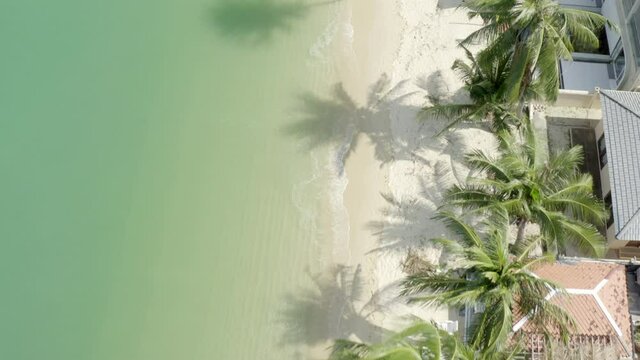 Aerial shot of palm trees and structures at beach on sunny day, drone flying forward over shore - Ko Samui, Thailand