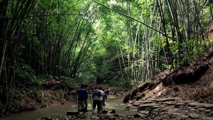 Moulvibazar, Bangladesh-September 10, 2018: On the way to Hum hum Waterfall looking a jungle way between trekking in the Bamboo forest. forest and environment concept. Adventure life. 