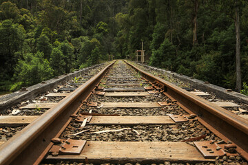 Obraz premium Low angle view of railway tracks running off into the distant forest. 
