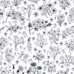Seamless botanical pattern of different flowers. Vector stock illustration eps 10. Hand drawing. Out line

