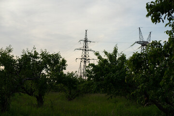 television tower in the forest