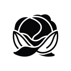 Black solid icon for cabbage