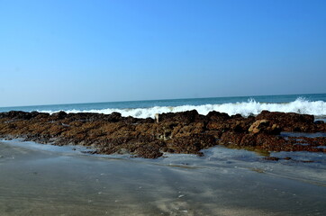 The sea waves are scratching over the coral at St. Martin's Island. The island locally known as Narkel Jinjira is the only coral island and one of the most famous tourist spots of Bangladesh. 