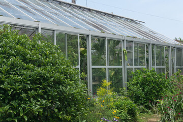 温室栽培 グリーンハウス
