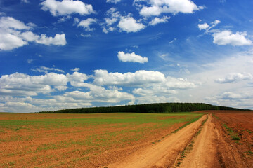 Road in the field under blue sky