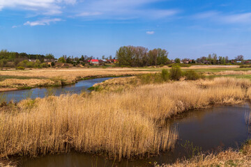 Piękna i dzika rzeka Narew, Podlasie, Polska