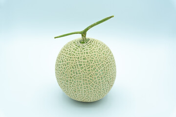 single melon on white background
