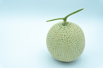 single melon on white background