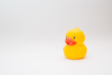 Yellow rubber duck on white background