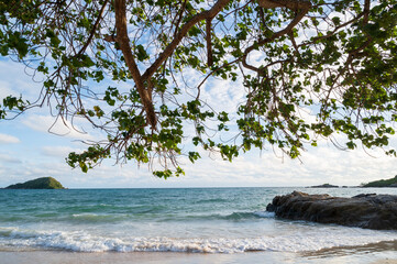 Fototapeta na wymiar tropical beach with trees and blue sky in Thailand