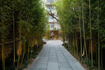 Seoul,South Korea-March 2020: Tall tree forest entrance of Cafe Kitsune, Sinsa, Seoul