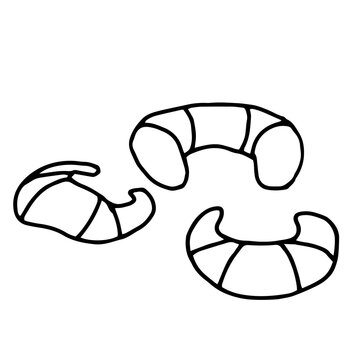 Hand drawing croissants.Simple minimal goodies product picture in doodle.Usable as icon or symbol.Decoration element. Hand drawn black sketch. Stock vector illustration isolated on white background.