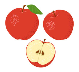 Set of red apples. Whole and cut in half. Isolated on a white background. Vector illustration.