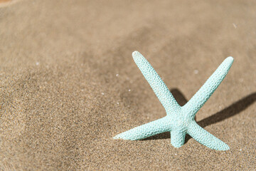 砂浜にヒトデ