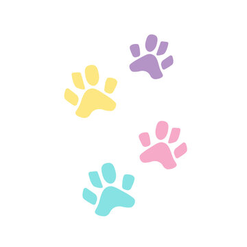 Colorful paw trace vector illustration