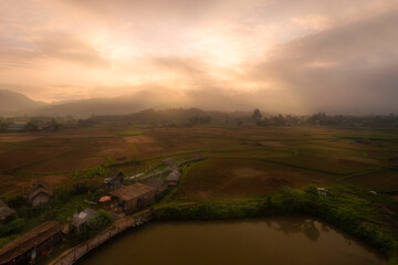 Fototapeta na wymiar landscape with foggy over ricefield