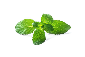 Mint leaf on over white background. Isolated. Raw food
