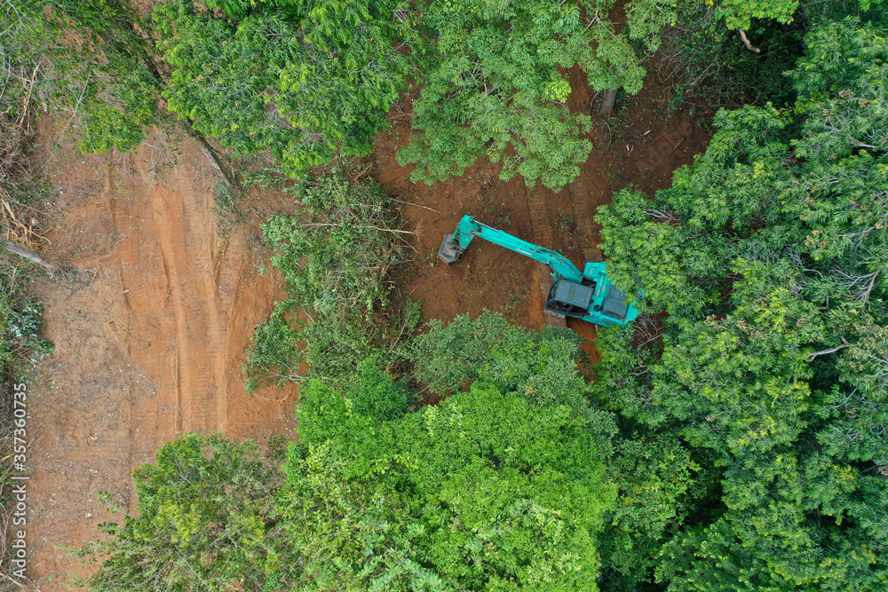 Wall mural deforestation. excavator knocking down trees in forest. rainforest jungle in thailand destroyed