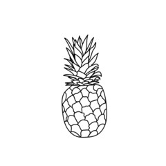 Single hand drawn pineapple doodle vector illustration.