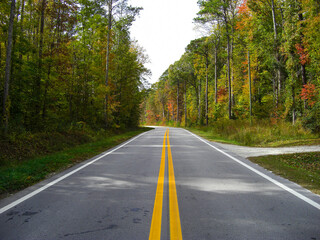 Fototapeta na wymiar Double lined Island Creek Road, a beautiful country road in the Croatan National Forest near New Bern, North Carolina, USA shot during fall. The colored forest surrounds the road.