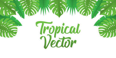 Tropical Vector Background Design Illustration. Tropical leaves Vector flat design illustration. Abstract Tropical Summer background design template for banner, pattern, invitation, poster, brochure.