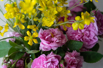 Colored beautiful wildflowers close-up