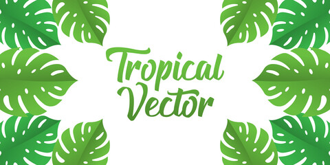 Tropical Vector Background Design Illustration. Tropical leaves Vector flat design illustration. Abstract Tropical Summer background design template for banner, pattern, invitation, poster, brochure.