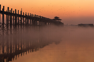 Fototapeta premium teak wood bridge in the morning 