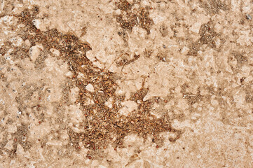 texture of concrete with sand and leaves. Beautiful orange background with details