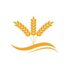 Fototapeta premium Agriculture wheat Template vector icon design