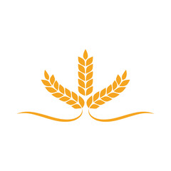 Agriculture wheat Template vector icon design