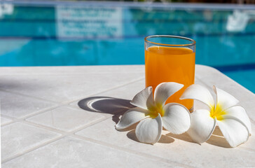 Plumeria flowers in white petals and yellow inside placed next to a glass of organic fresh orange juice served at a swimming pool