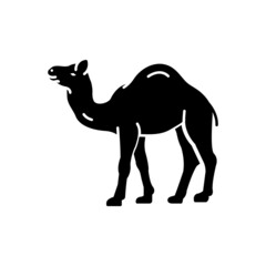 Black solid icon for camel
