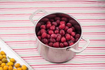 beautiful fresh ripe red plums in a stainless pan and yellow home plums on aluminum tray on table with on  colorful striped tablecloth. Organic  yellow plums