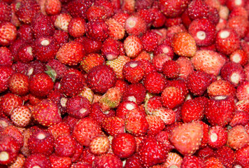 fresh wild strawberry berries.Background of berries