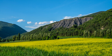 Fototapeta na wymiar Amazing bright colorful spring and summer landscape. Yellow fields of flowering rape and blue sky with clouds. Natural landscape background, Europe.