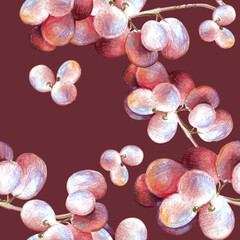 Seamless pattern with colored pencils illustration of grapes