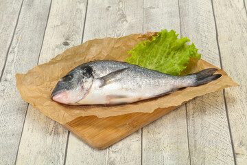 Raw Dorada fish  for cooking