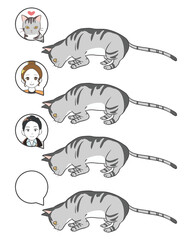 何かを探しているネコ