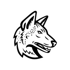 Obraz premium Gray Wolf or Arabian Wolf Head Mascot Black and White