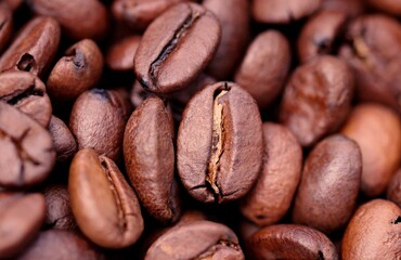 coffee beans close up