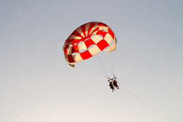 Paraglider soaring over the seashore