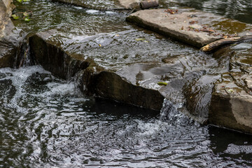 Calm floating creek with crystal clear water and rocks of a natural little dam or adventure hiking trail over a flat little brook in the woods as adventure tour for tourism with environmental health