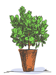Sketch of small tree in clay pot, Hand drawn Vector illustration