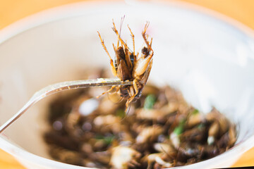 fried cricket as food, insects local street food