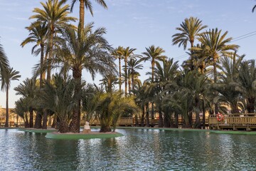Beautiful shot of a lake area surrounded by palm trees on a sunny day
